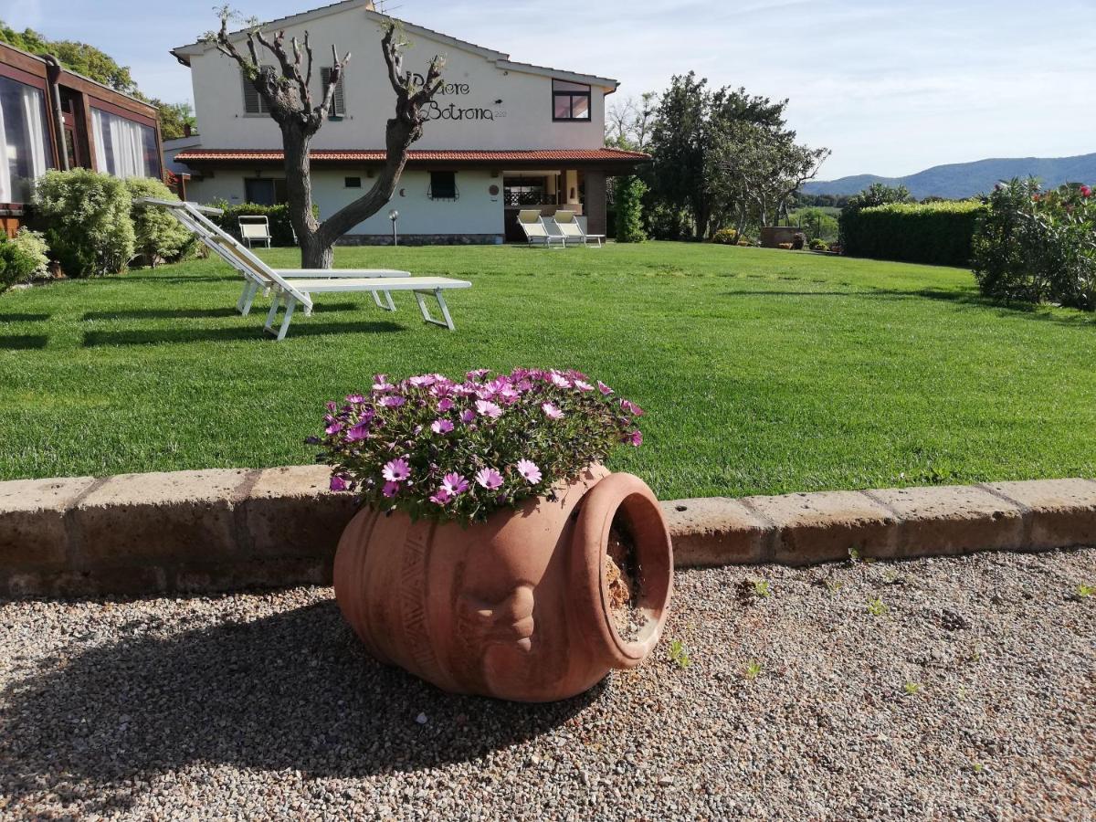 Agriturismo Diaccia Botrona 카스틸리오네 델라 페스카이아 외부 사진