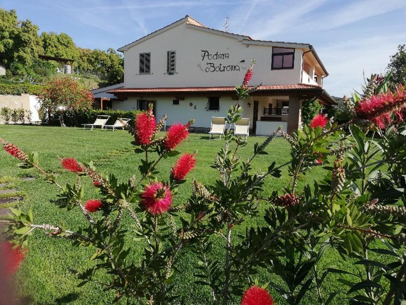 Agriturismo Diaccia Botrona 카스틸리오네 델라 페스카이아 외부 사진