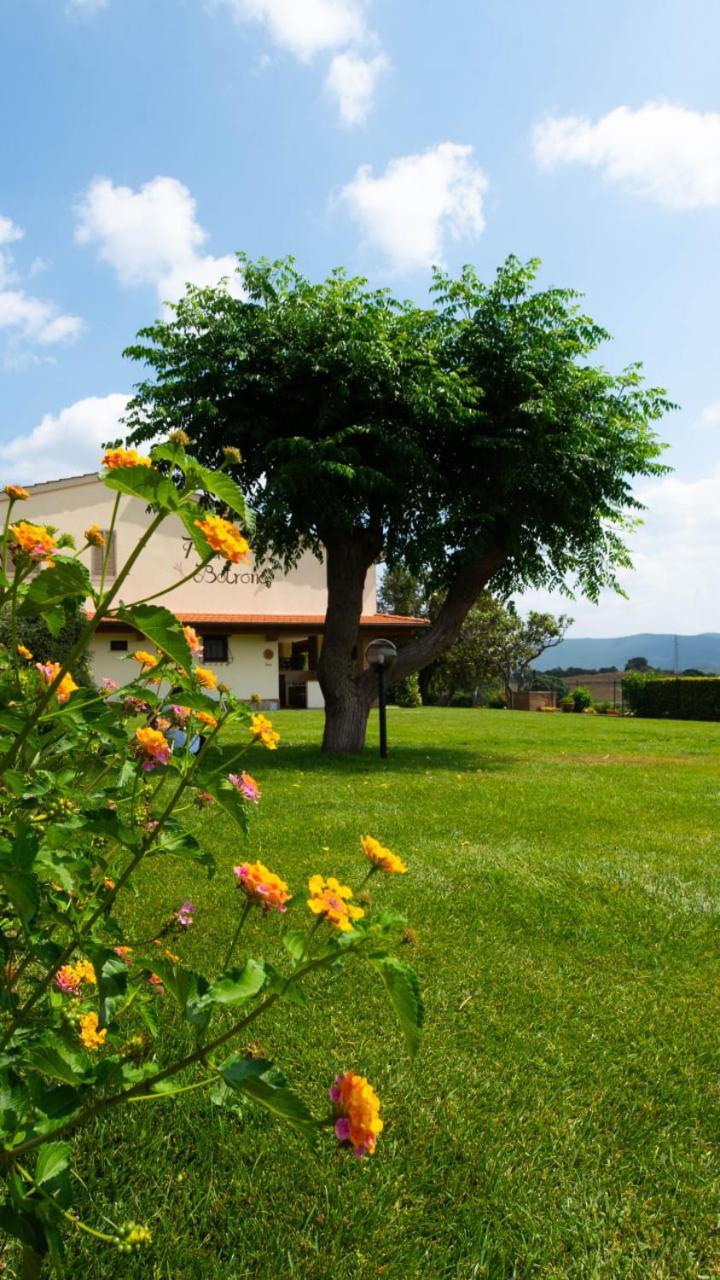 Agriturismo Diaccia Botrona 카스틸리오네 델라 페스카이아 외부 사진