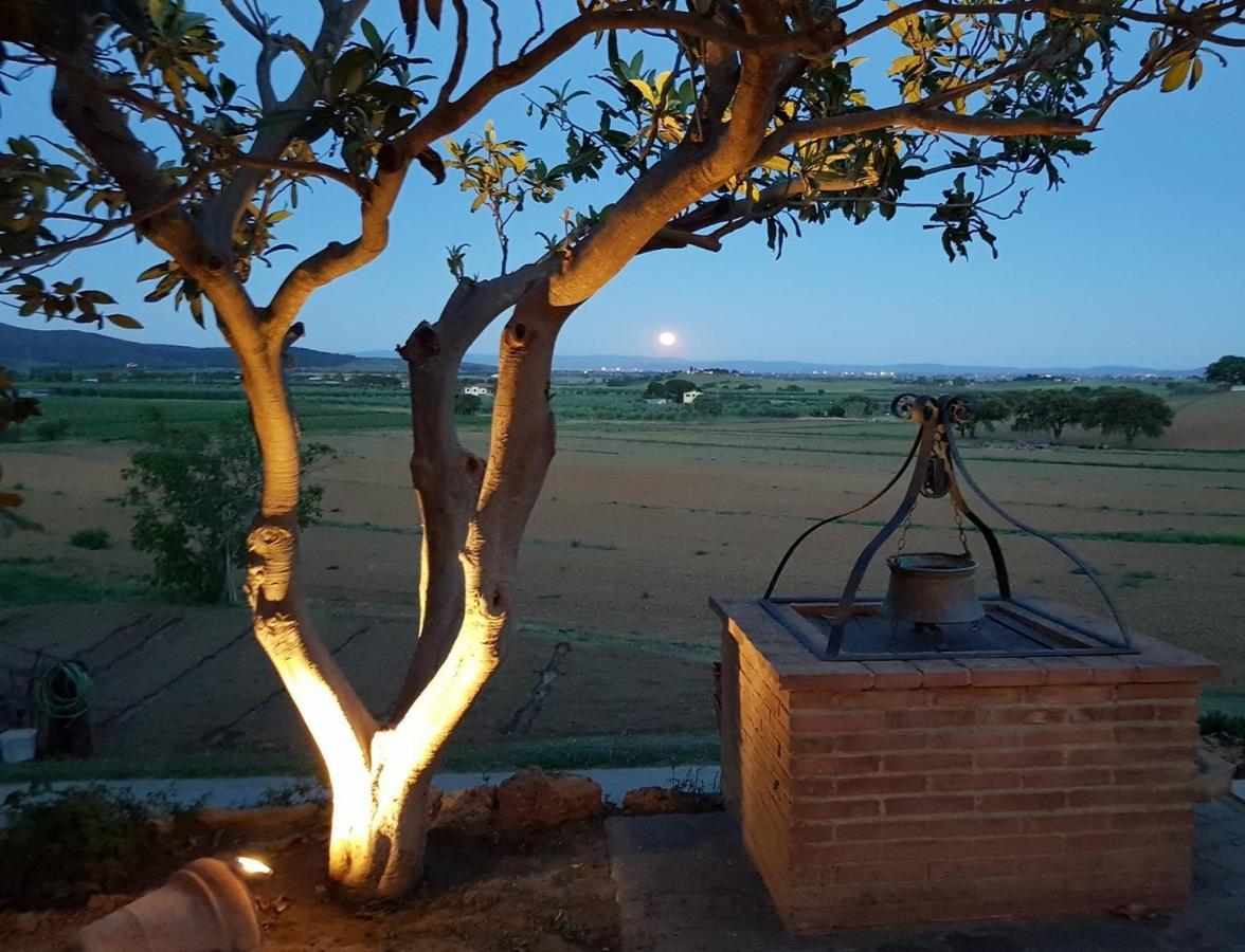 Agriturismo Diaccia Botrona 카스틸리오네 델라 페스카이아 외부 사진