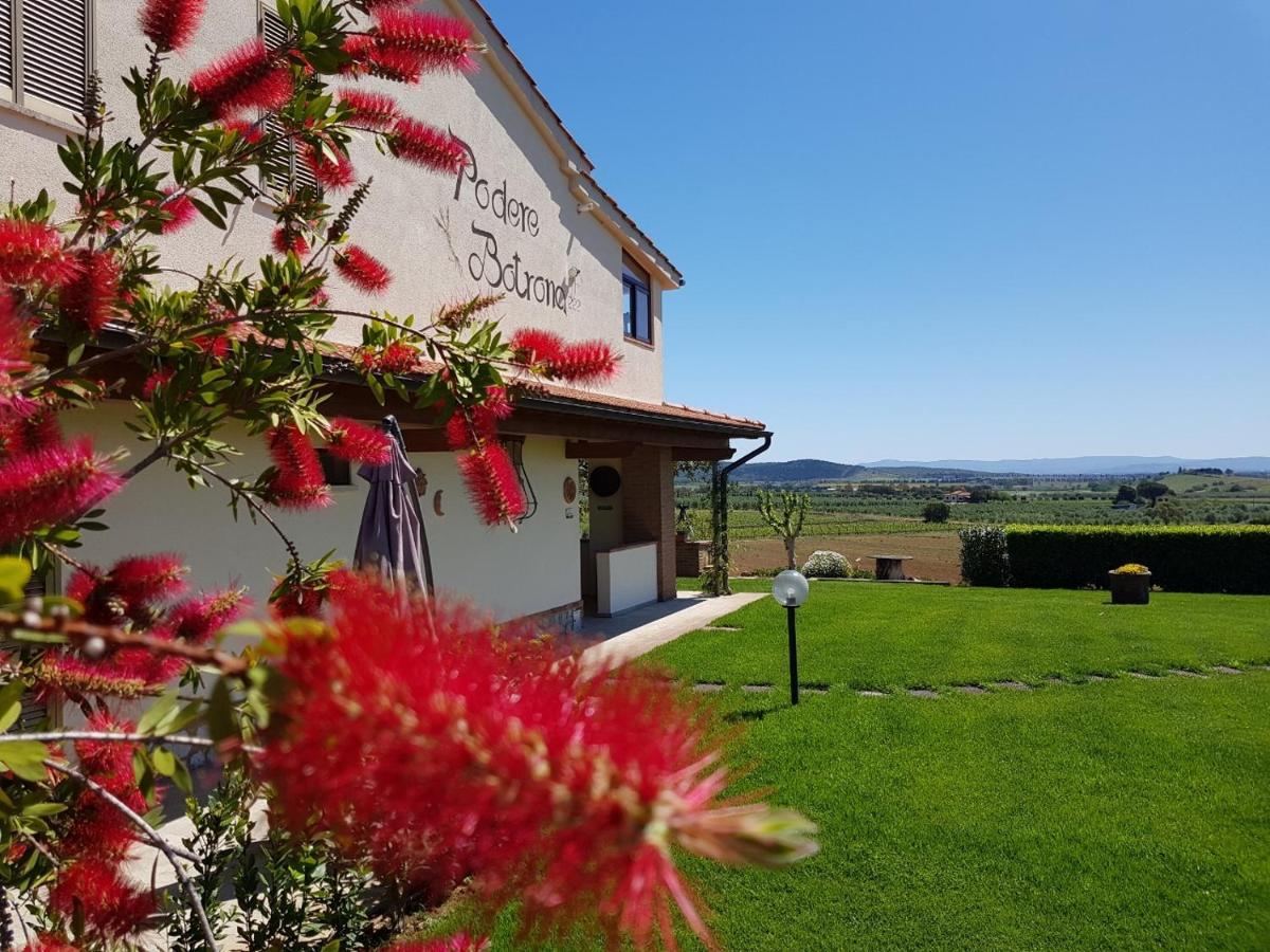 Agriturismo Diaccia Botrona 카스틸리오네 델라 페스카이아 외부 사진