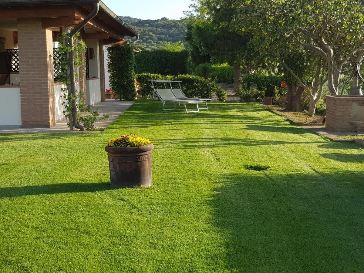 Agriturismo Diaccia Botrona 카스틸리오네 델라 페스카이아 외부 사진