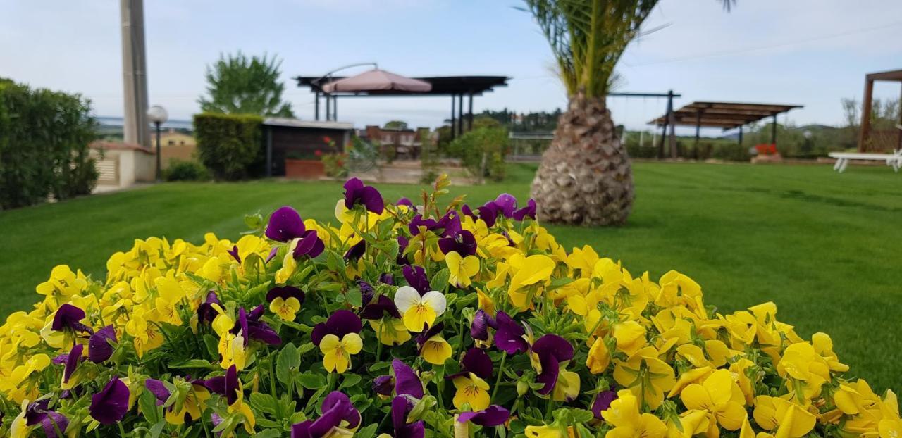 Agriturismo Diaccia Botrona 카스틸리오네 델라 페스카이아 외부 사진